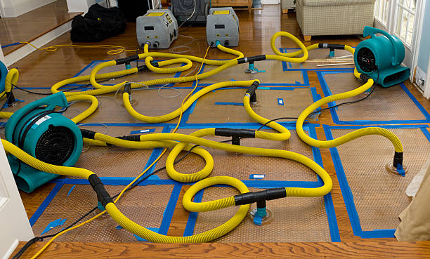 Professional Water Damage Restoration technician working in Grifton, NC